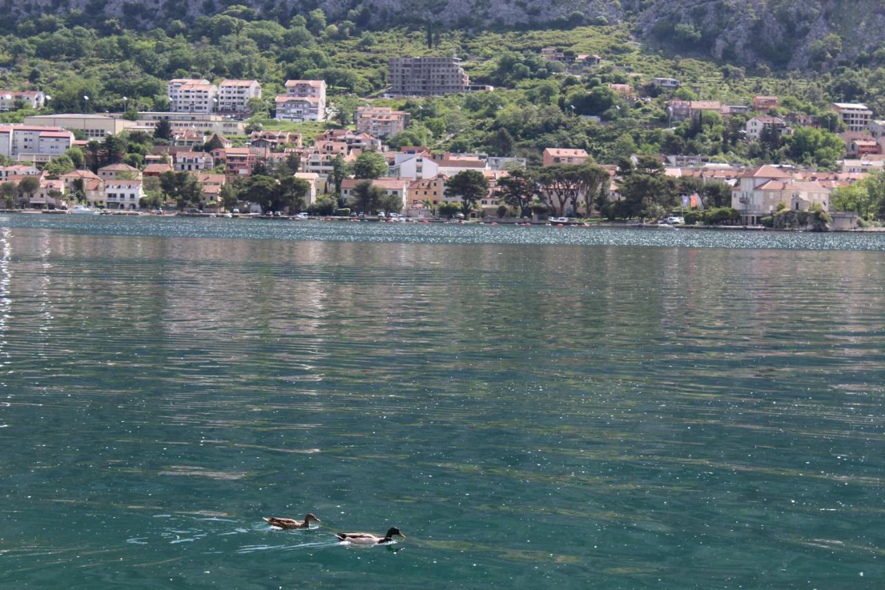 Mare E Montagna Διαμέρισμα Κότορ Εξωτερικό φωτογραφία
